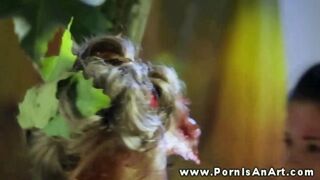 Kettő forró pipi nyaldosja a punciját a szabadban